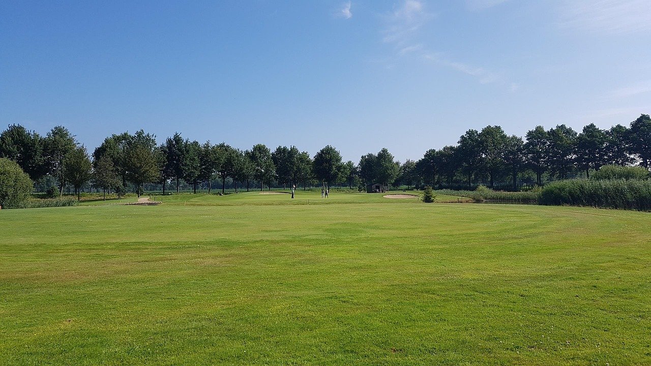 golf, golf course, sport, grass, green, nature, golf, golf, golf, golf, golf course, golf course, golf course, golf course, golf course
