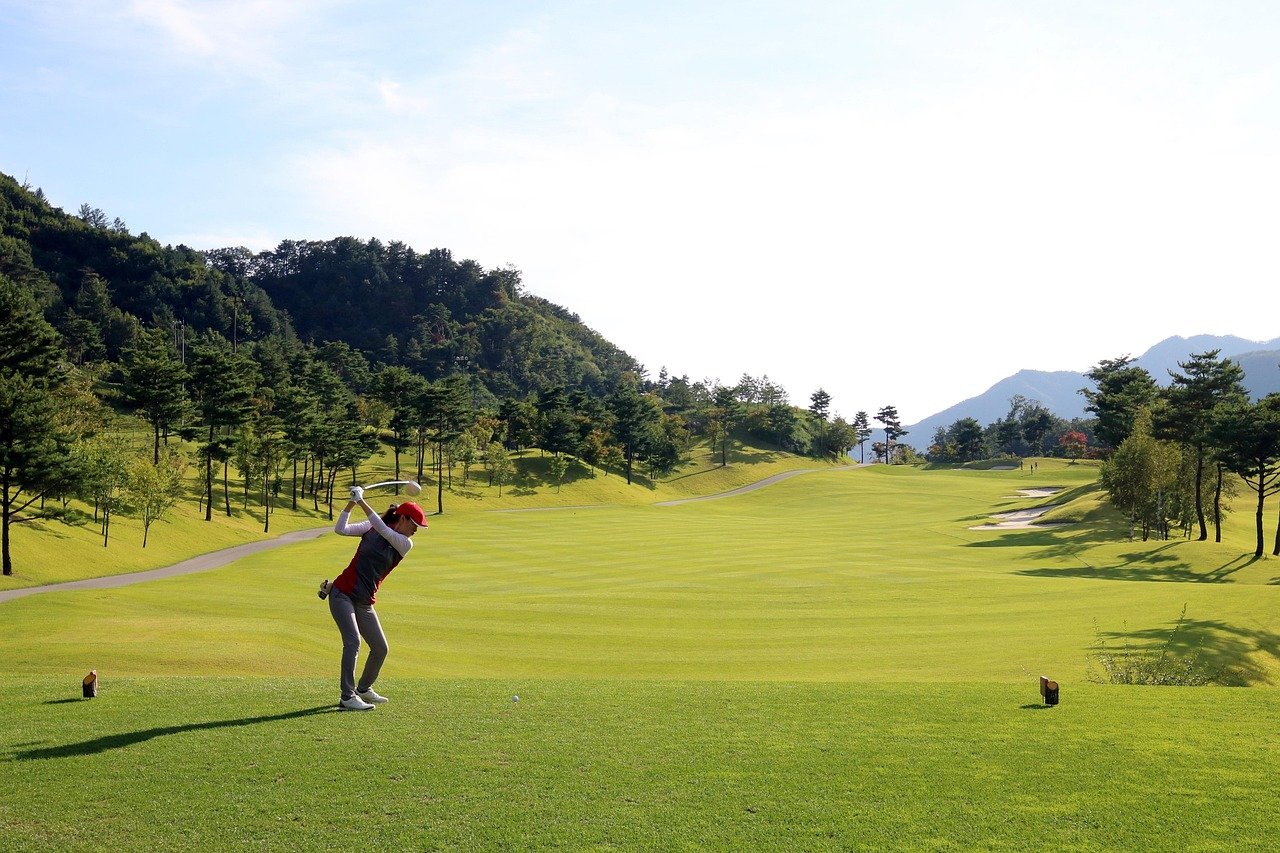 golf, green, field, grass, sports, golfers, nature, golf course, landscape, driver