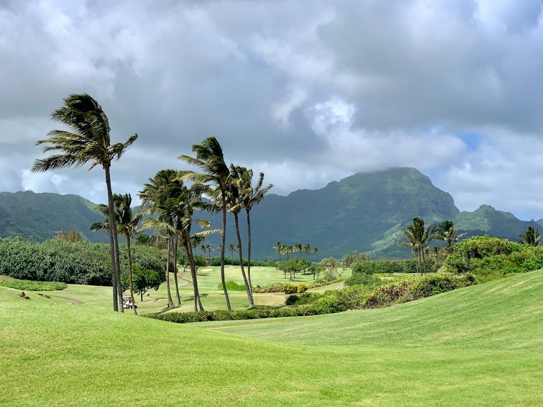 palm-trees-blowing-in-the-wind-on-a-golf-course-0jv2-dhp3gu