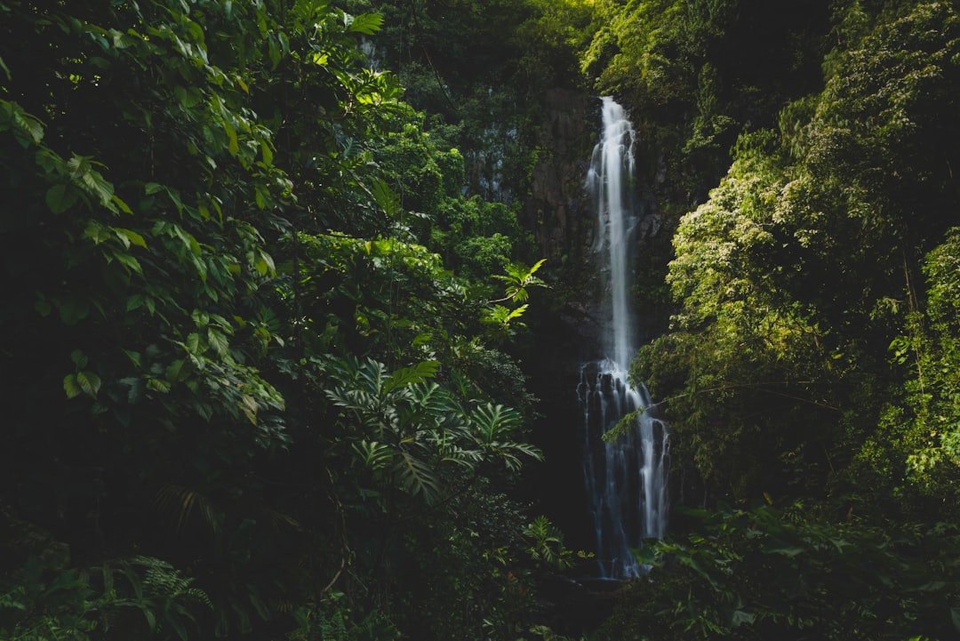 Wailua Falls - the penultimate destination on the Road to Hana before reaching Haleakala National Park. The soft afternoon lighting and amazing dark contrast of the surrounding foliage gave me a splendid sight.